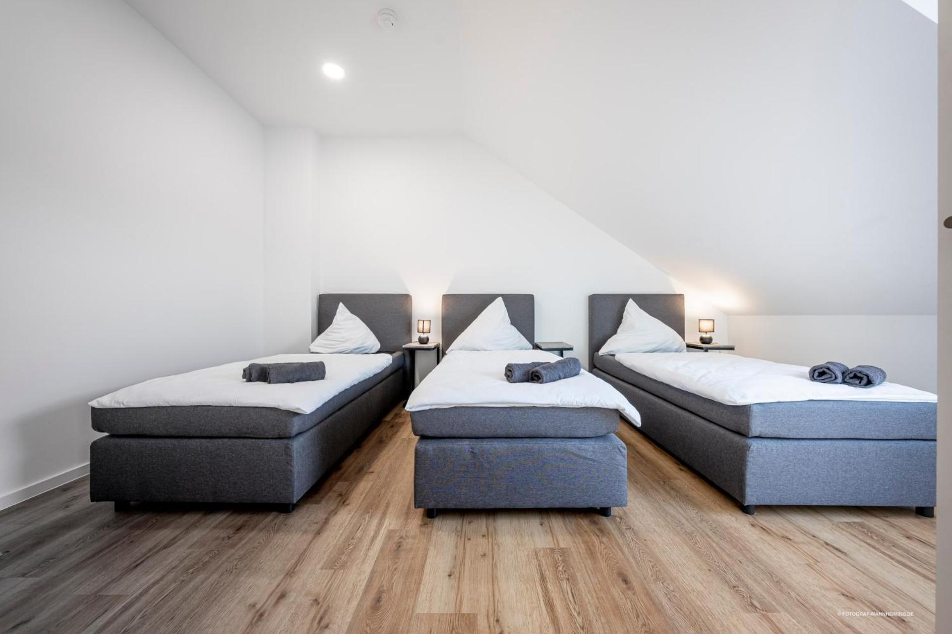 Apartment Artdesign - 8 Pers - Naehe Speyer Mannheim Heidelberg *